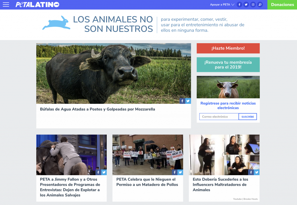 El blog de PETA Latino, una muestra de contenido de valor para OSC
