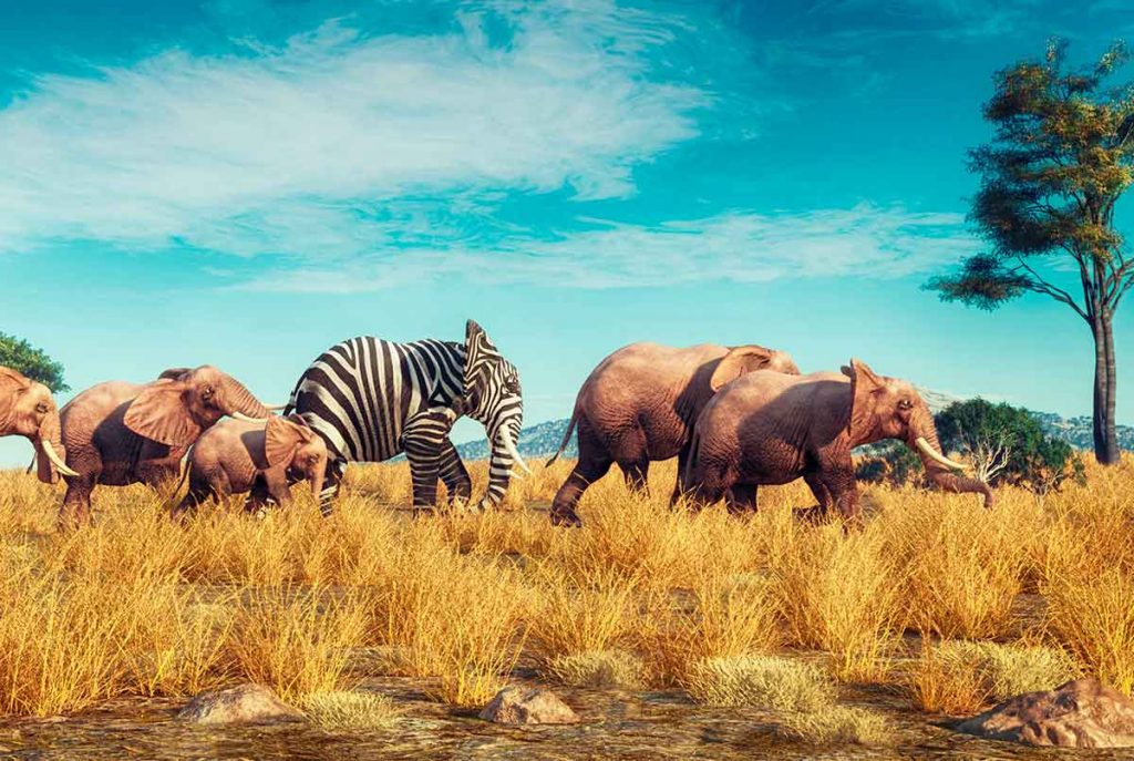 Piensa en usuario, no en ventas