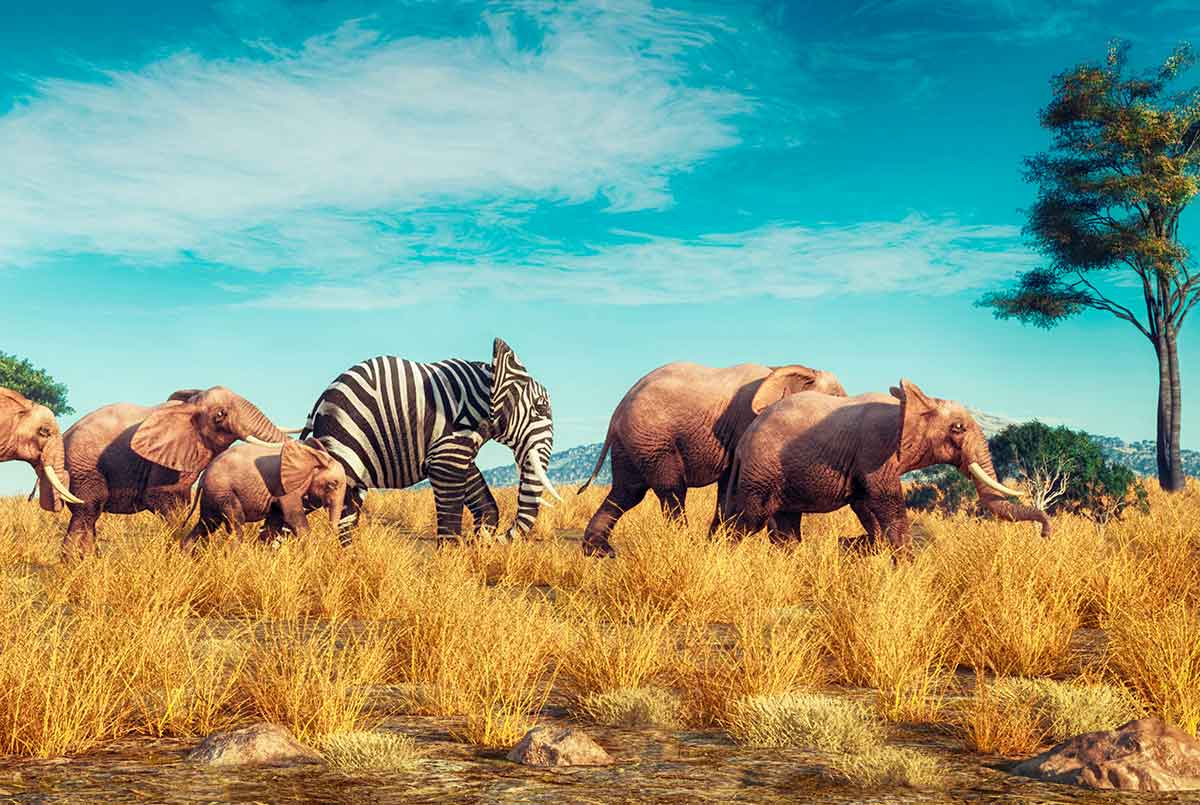 Piensa en usuario, no en ventas