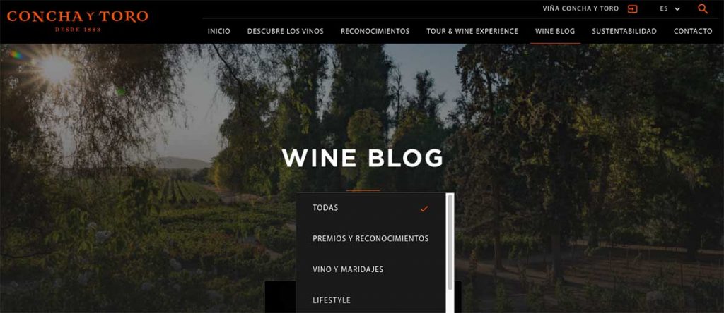 Blog de Concha y Toro. Cómo crear contenido.