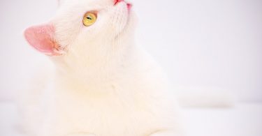 dejar de ser promedio