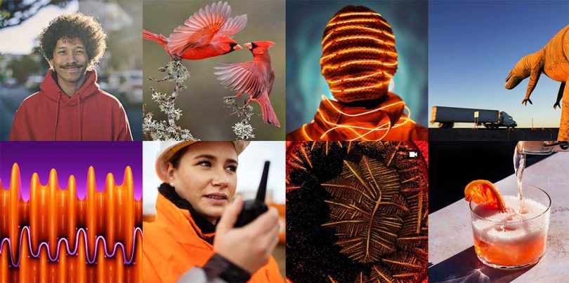 Webinars para creadores de contenido