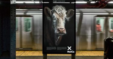 campaña con AI para marcas con proposito. NotCo.