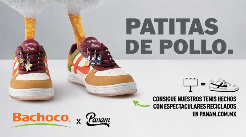 Bachoco x panam